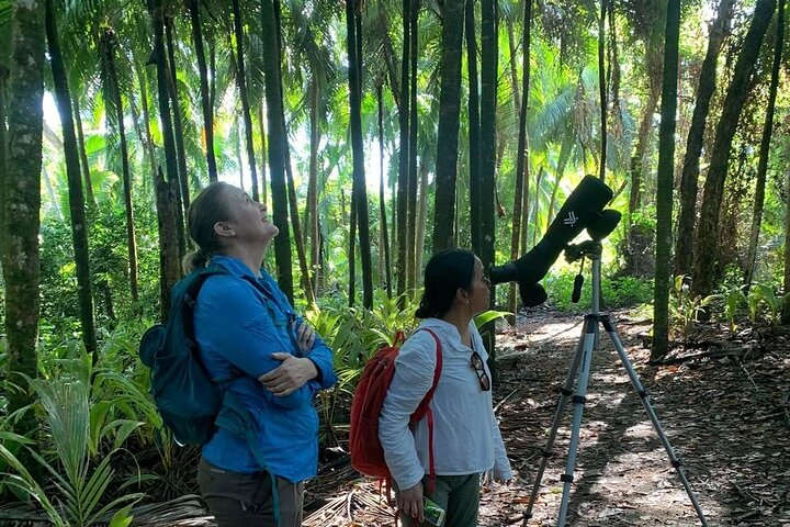 Nature and Bird Watching at Marino Ballena National Park - Photo 1 of 11